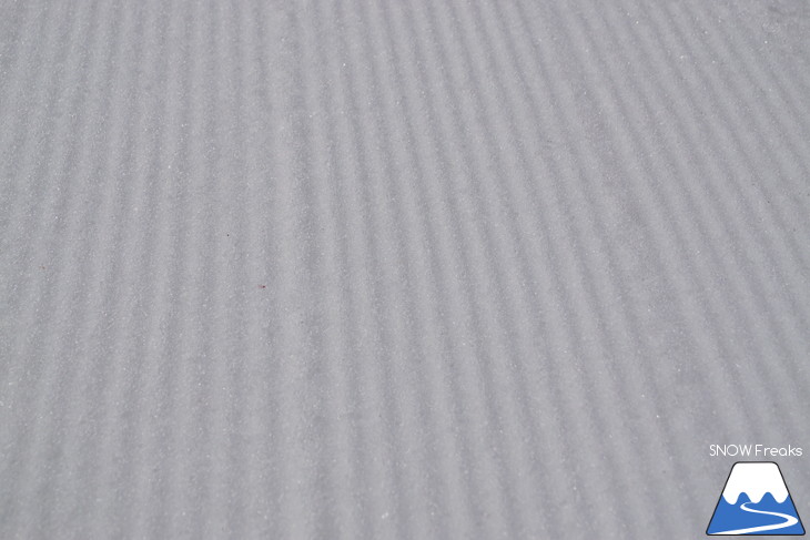サッポロテイネ 現在積雪 215cm。山麓まで思いっきり滑れます！